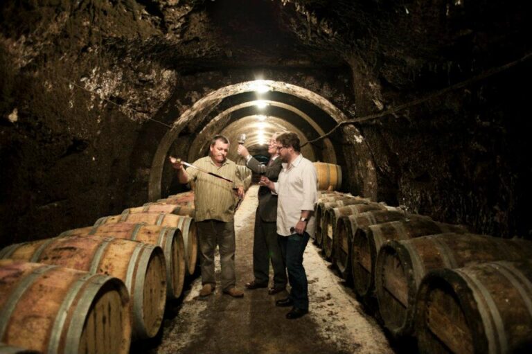 460730007 8292091320848085 8777675045335402448 N