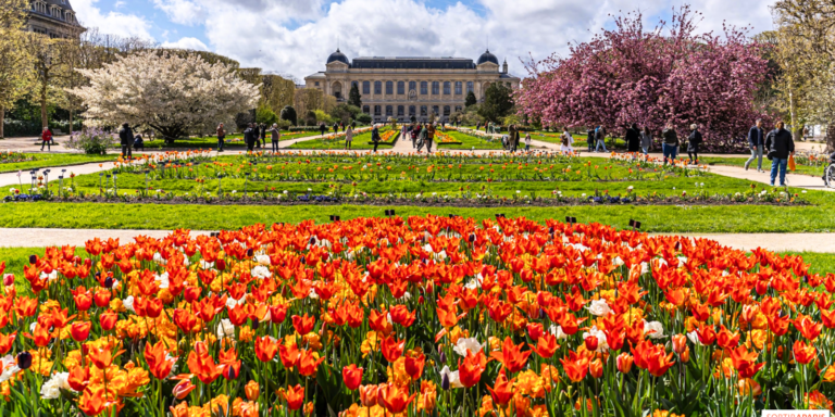 Five Exceptional Gardens to Explore Across France This Spring
