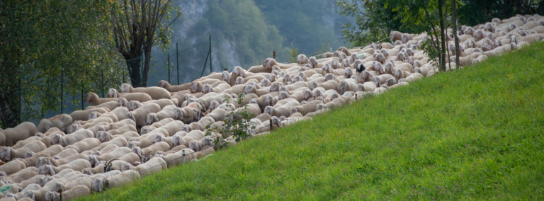 The French Traditions That Still Shape Everyday Life